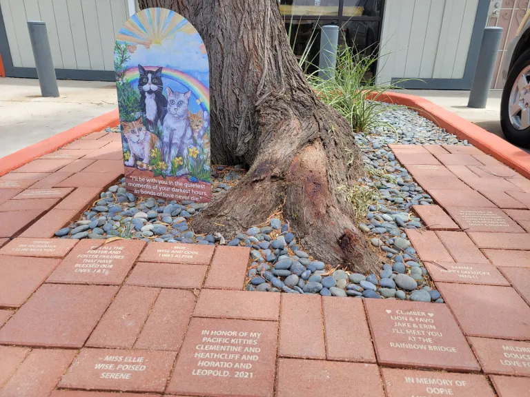 4-paws-memory-pavers.jpg
